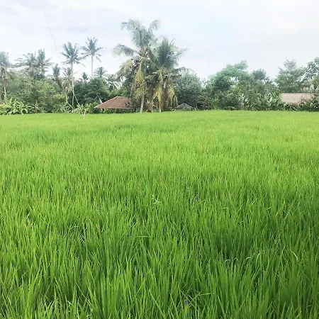 Lod Ubud Villa